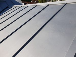 20191031_093117 (Medium)
